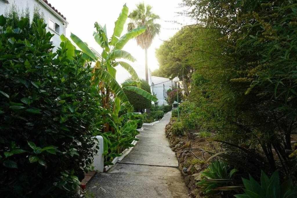 Playa Y Naturaleza אסטפונה מראה חיצוני תמונה